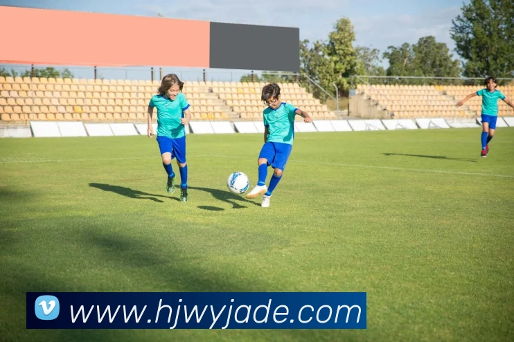 App Interface Preview